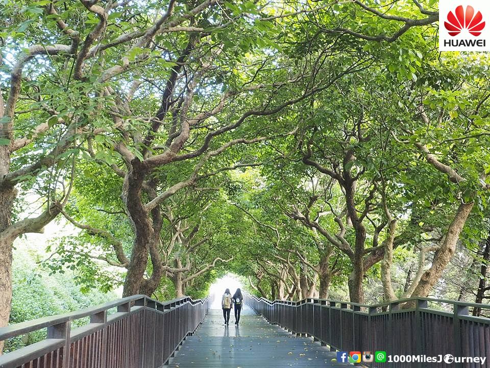 ไต้หวัน Taiwan 台灣