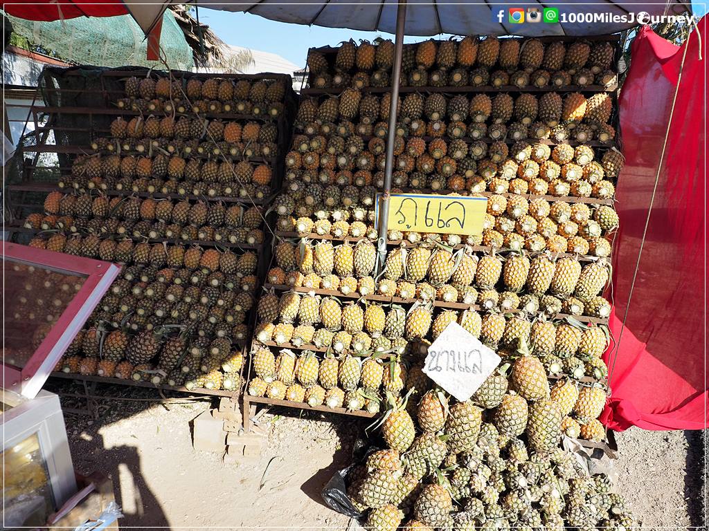 Chiang Rai เชียงราย 清萊