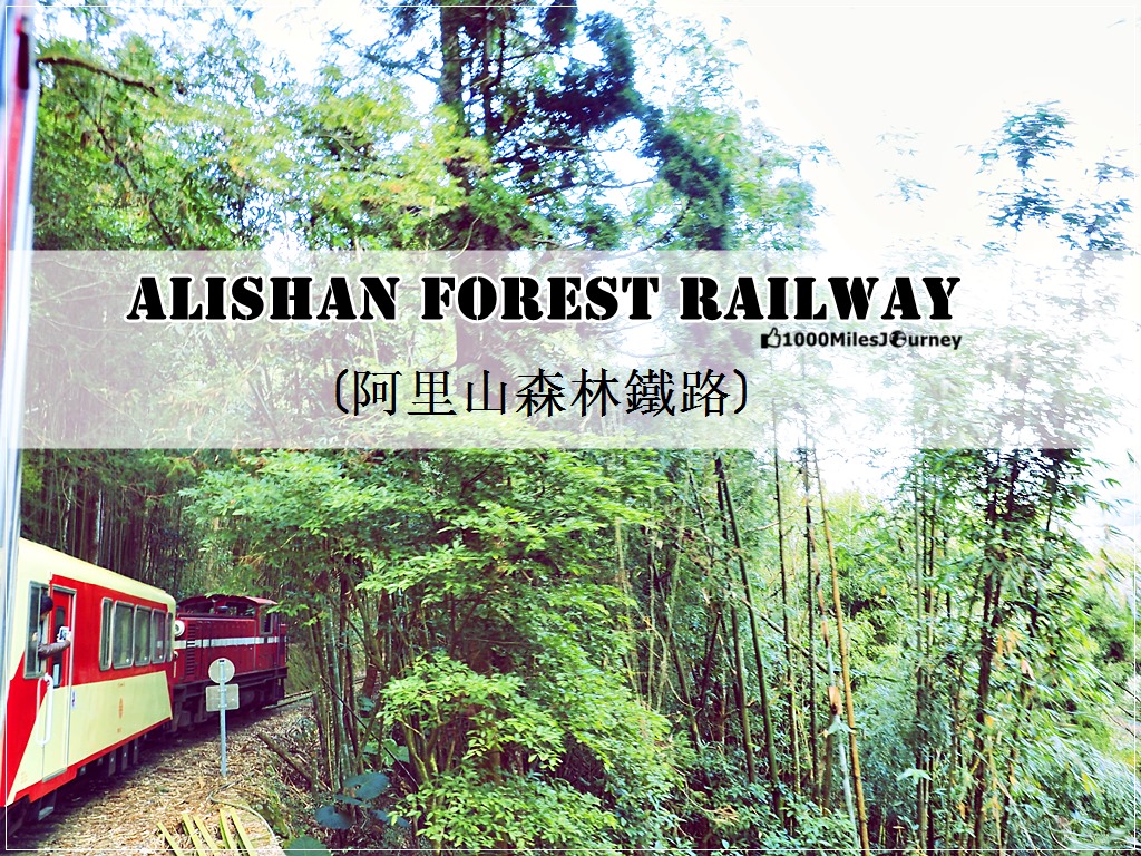 Alishan Forest Railway @ Taiwan