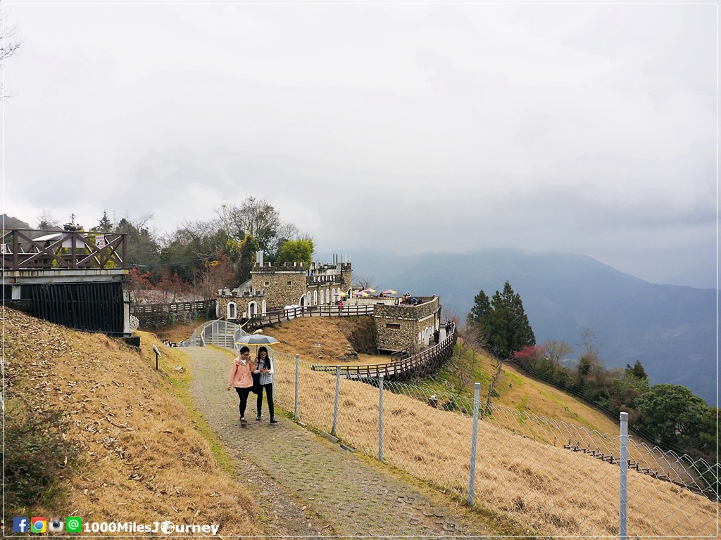 1000Miles @ Cingjing Farm and Hehuanshan