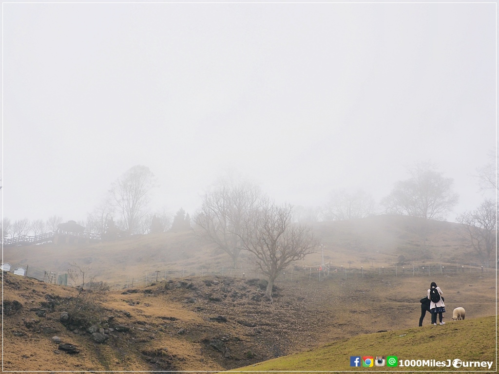 1000Miles @ Cingjing Farm and Hehuanshan