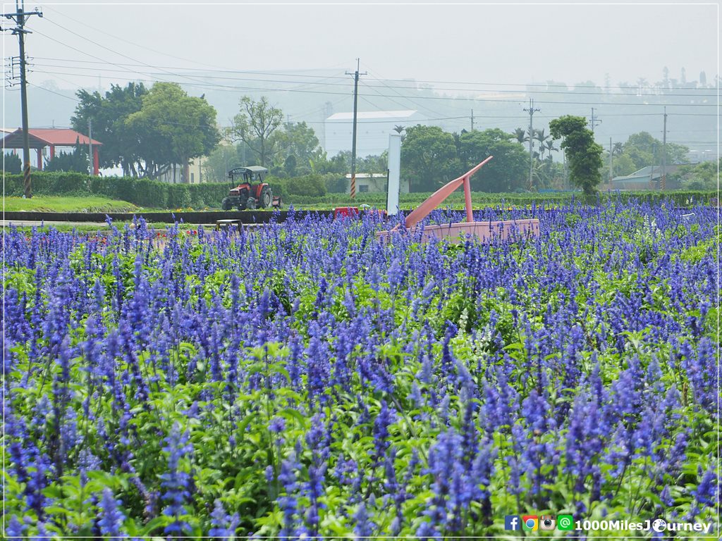One Day Trip in Taichung