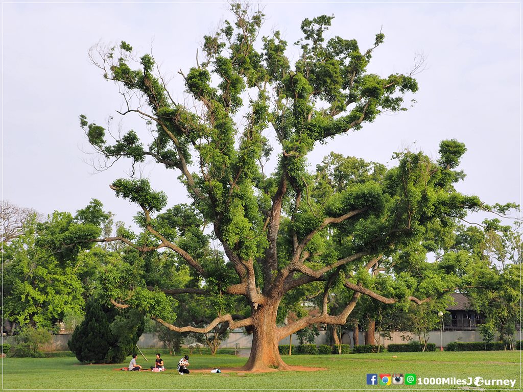 One Day Trip in Taichung