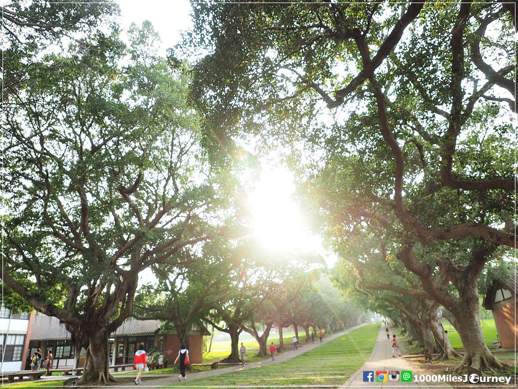 One Day Trip in Taichung