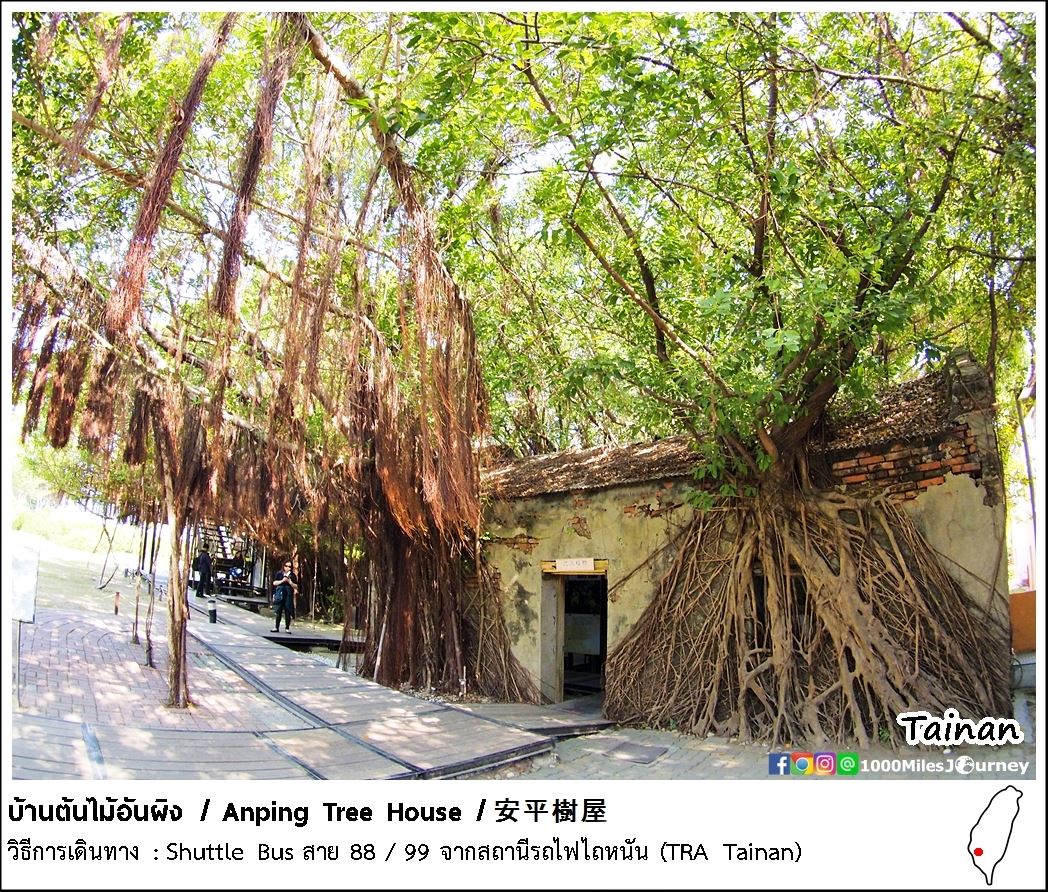 Anping Tree House @ Taiwan