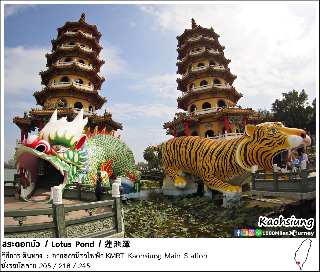 Lotus Pond @ Taiwan