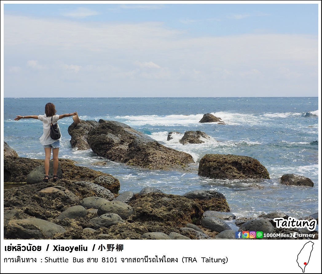 Xiaoyeliu @ Taitung