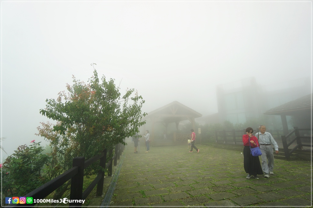 Eryanping Alishan