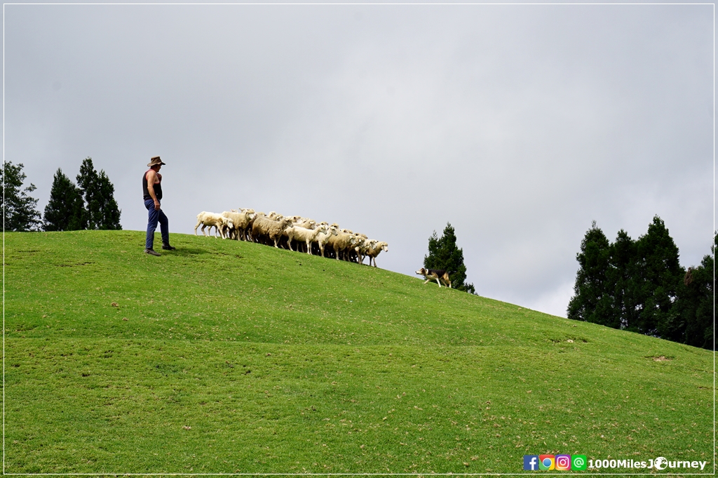 Cingjing Farm Taiwan