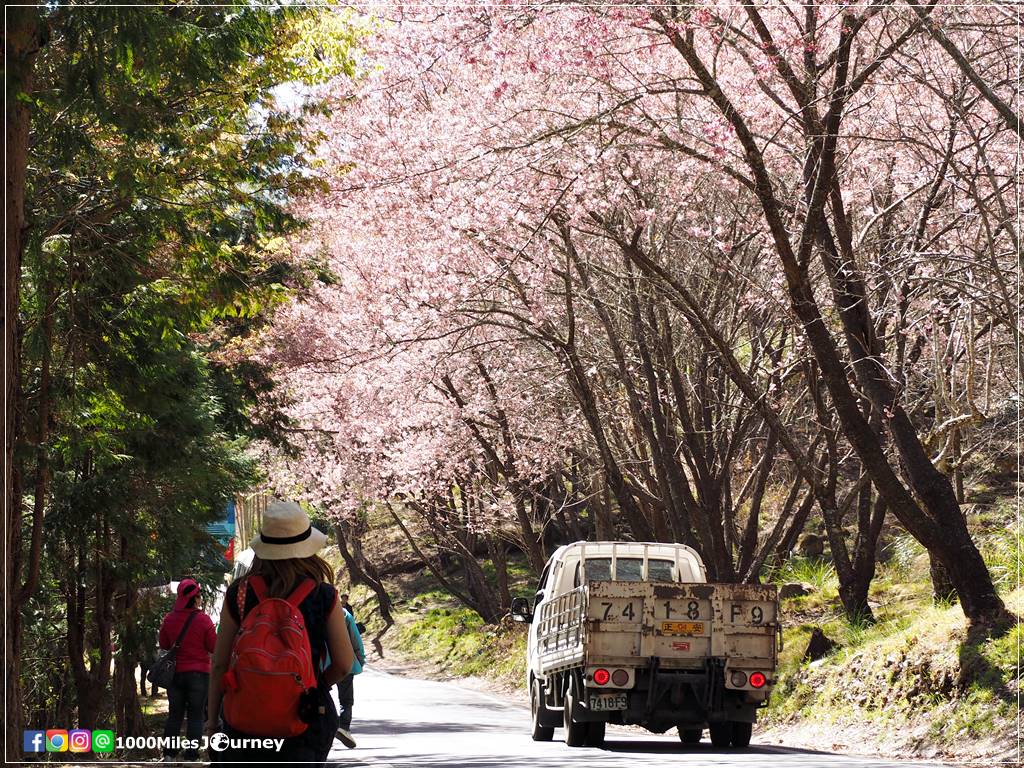 Wuling Farm Taiwan