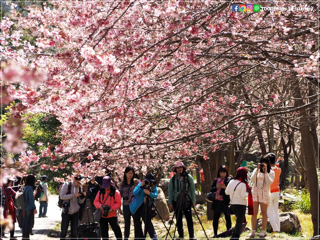 Wuling Farm Taiwan