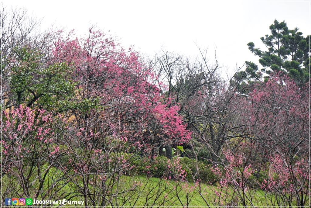 Yangmingshan