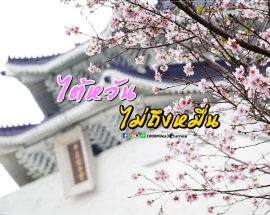 Travel in Taiwan