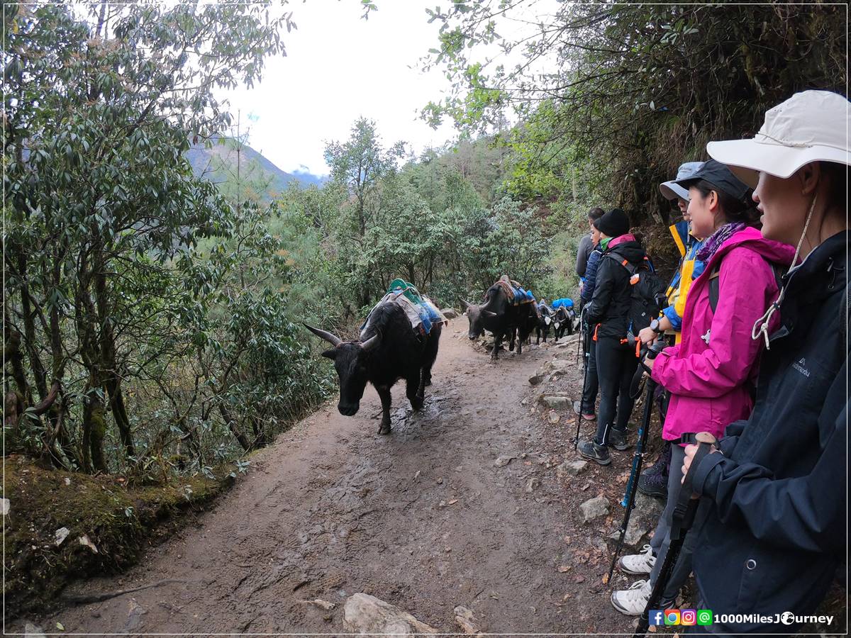 Lukla Everest Base Camp