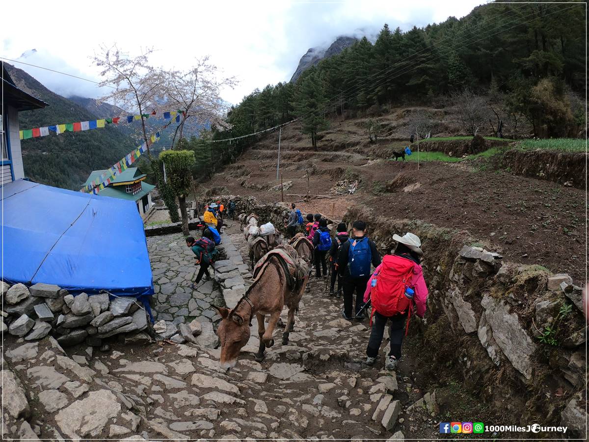 Lukla Everest Base Camp