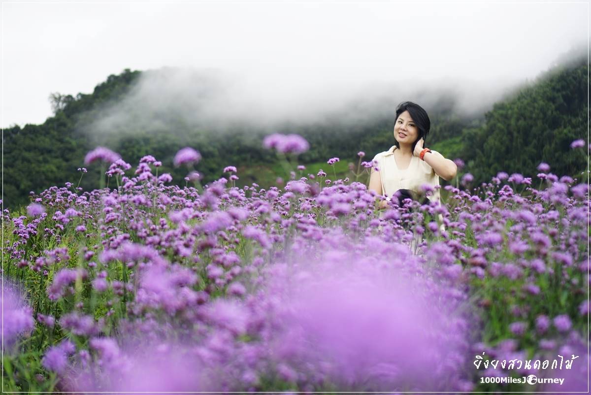 ยิ่งยงสวนดอกไม้ เชียงใหม่