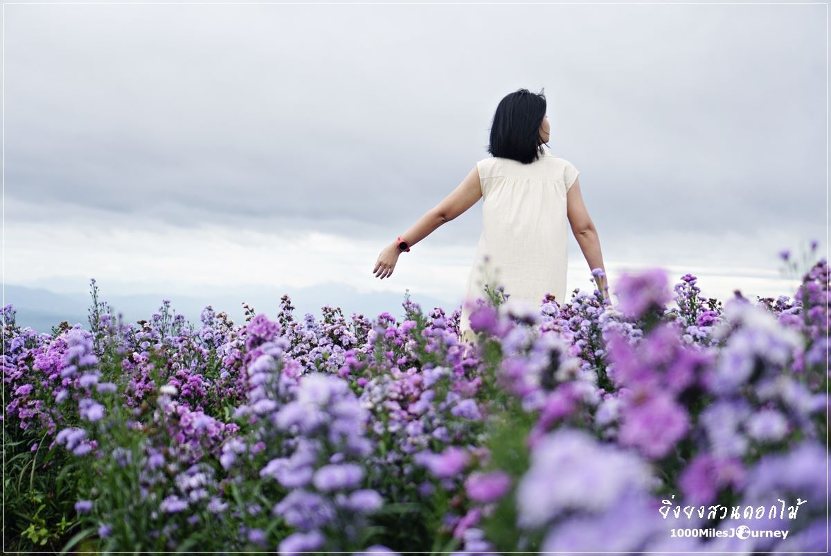 ยิ่งยงสวนดอกไม้ เชียงใหม่