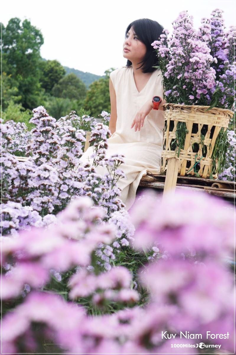 Kuv Niam Forest กู๊เนียร์ ฟอร์เร็ซท เชียงใหม่