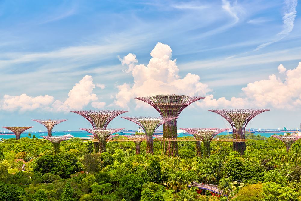 Singapore Supertrees Grove at the Gardens by the Bay