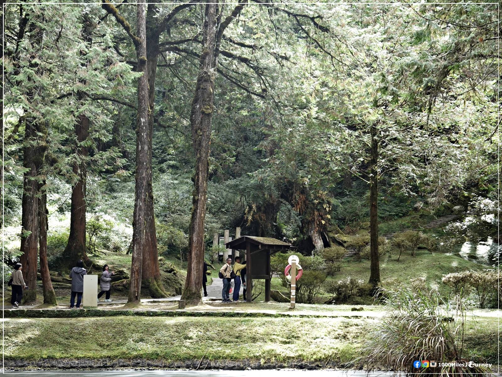 Alishan Taiwan