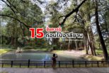 15 travel tips before visiting Alishan